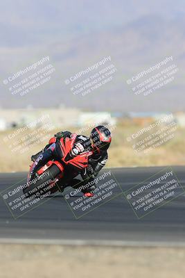 media/May-13-2023-SoCal Trackdays (Sat) [[8a473a8fd1]]/Turn 4 (820am)/